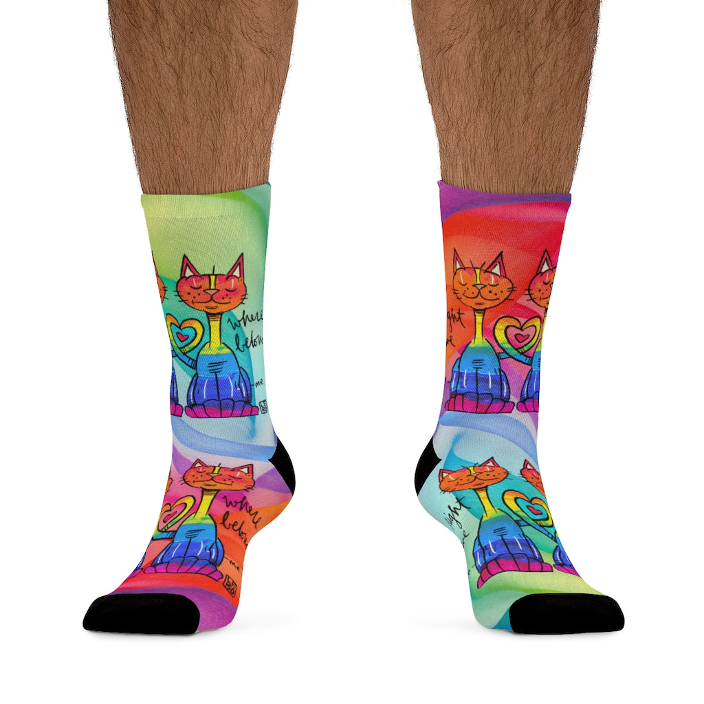 Right Where We Belong - Rainbow Collection - Lebo Tribe Socks